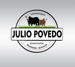 Julio Povedo Negocios Rurales